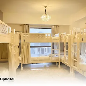 alphatel-beach-hostel-jbr.dubaihotelsoffers.com/